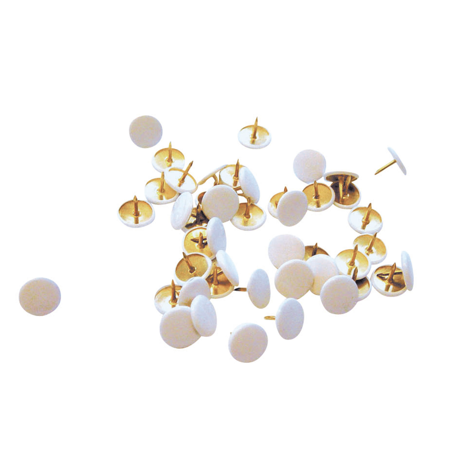 Produktabbildung - Einzelabbildung A006700L