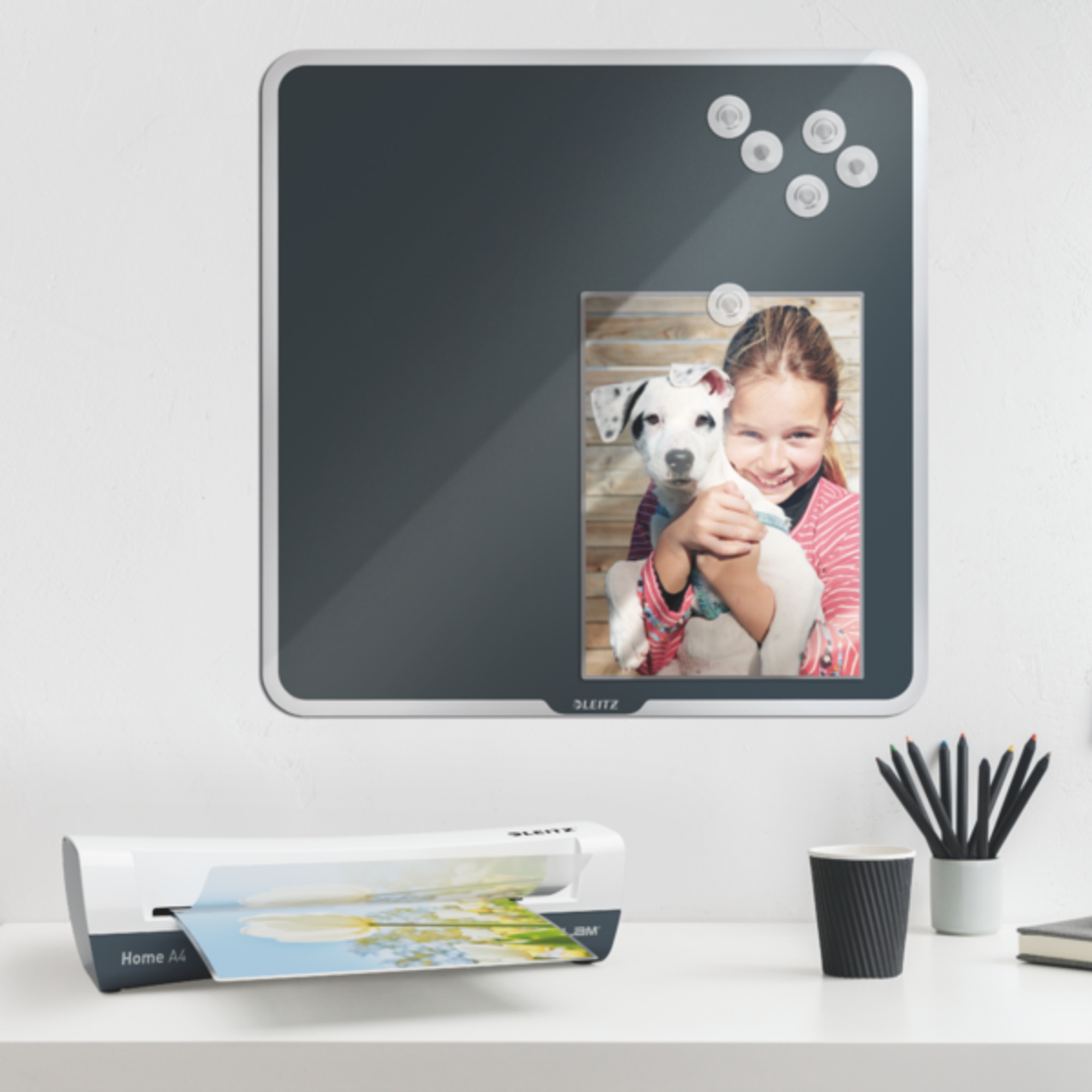 Produktabbildung - Anwendungsabb. ohne Deko Y001595R