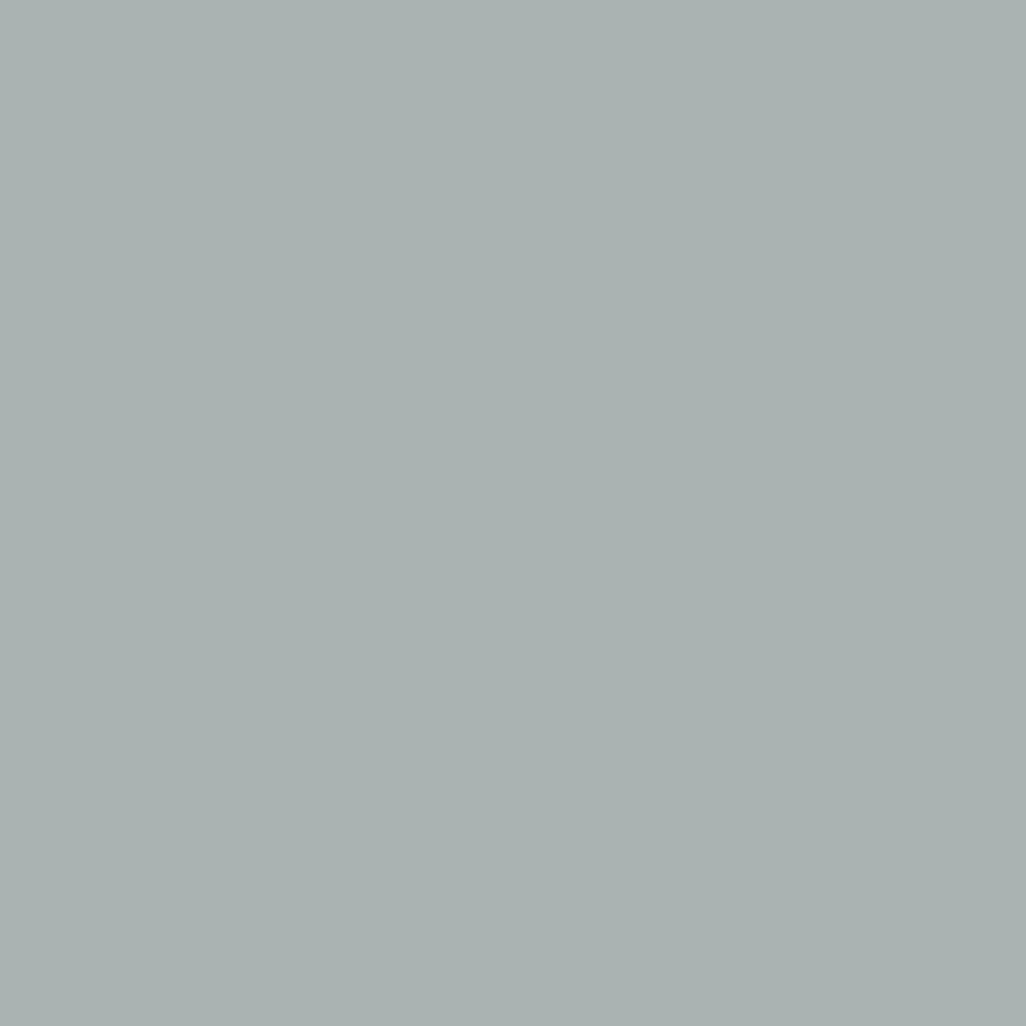 A012999D