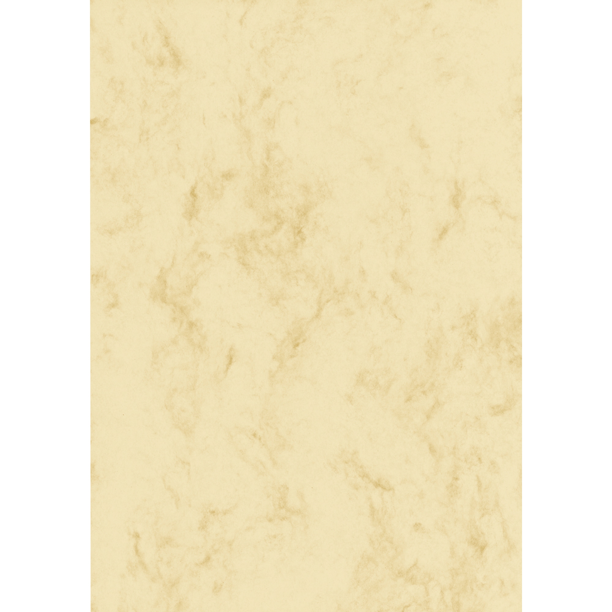 A013863V