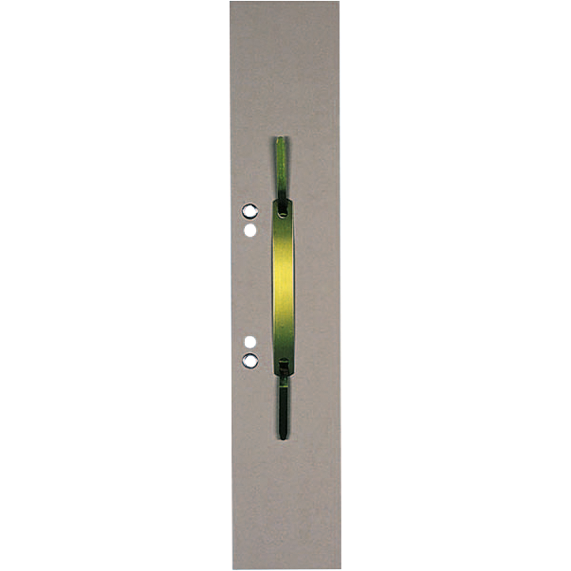 A009107L