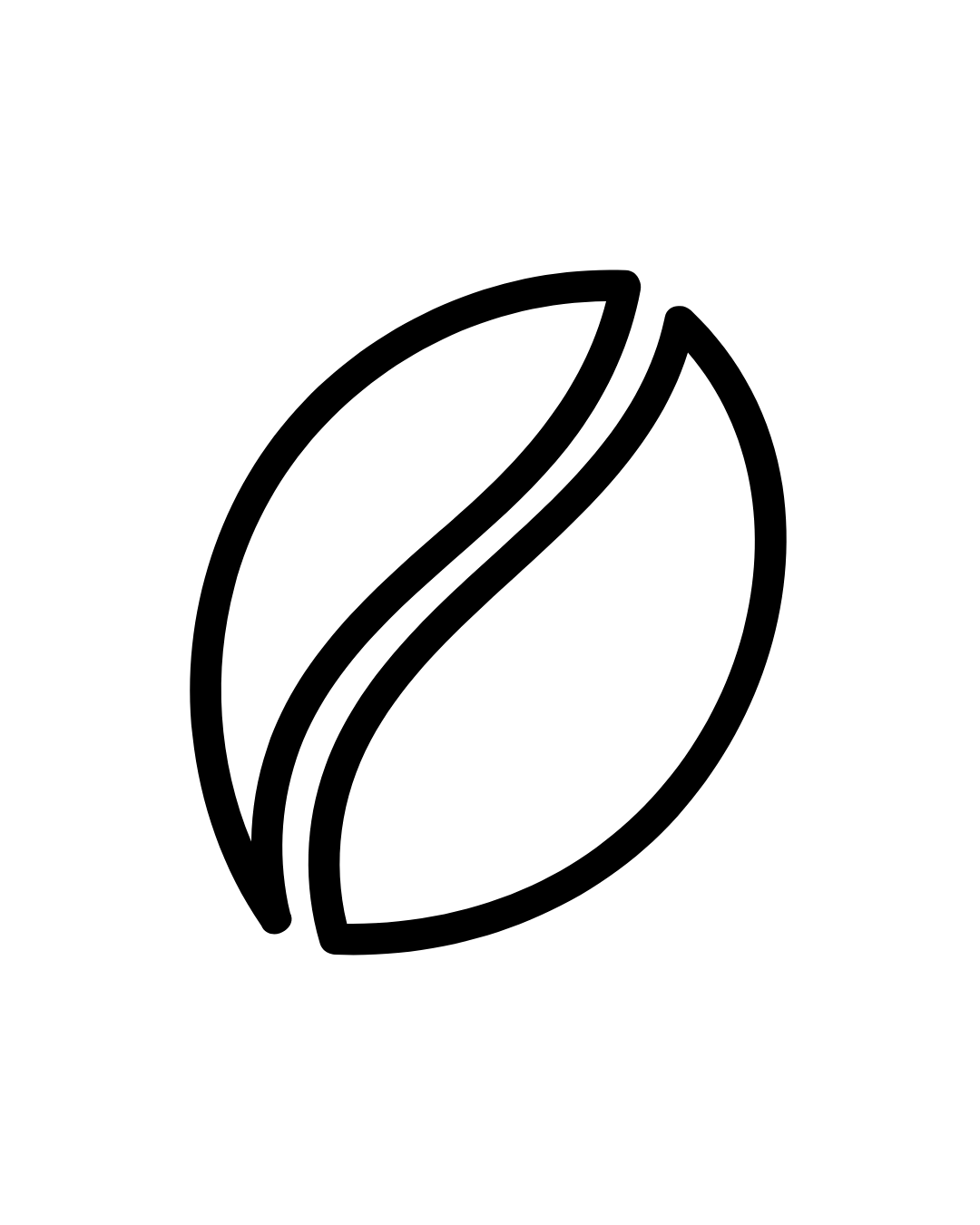 Bohne
