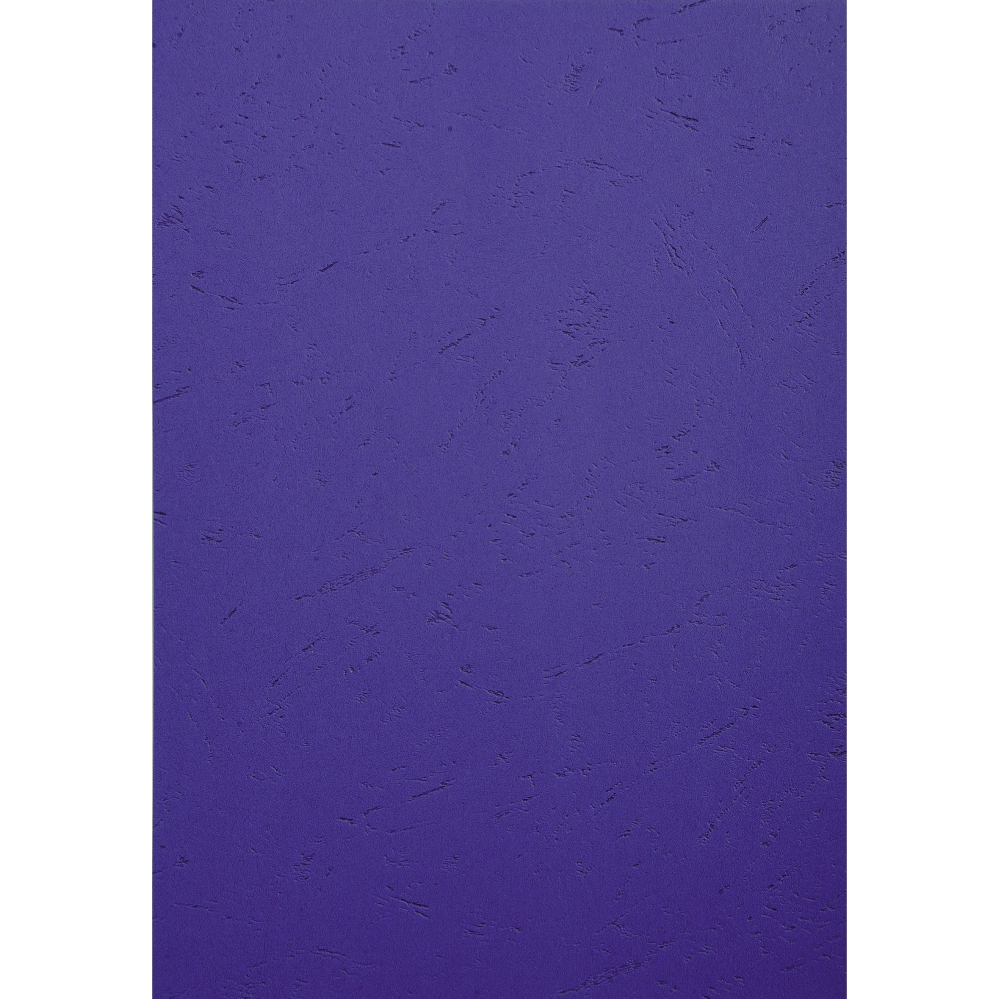 A013398F