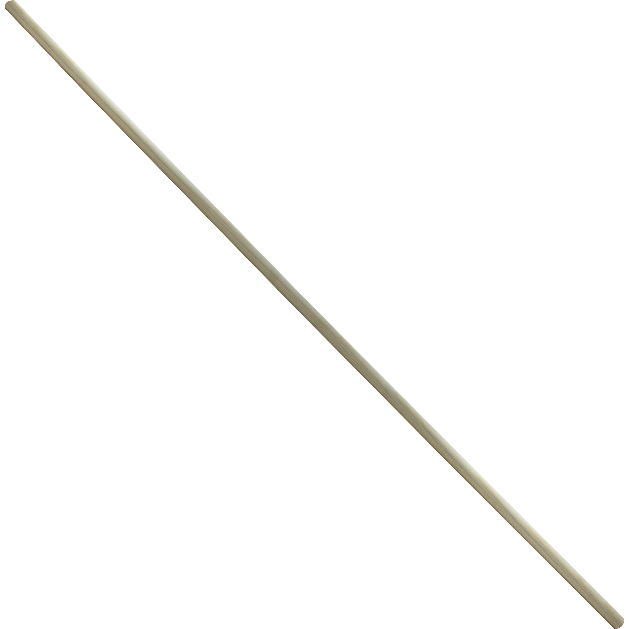 A009863L
