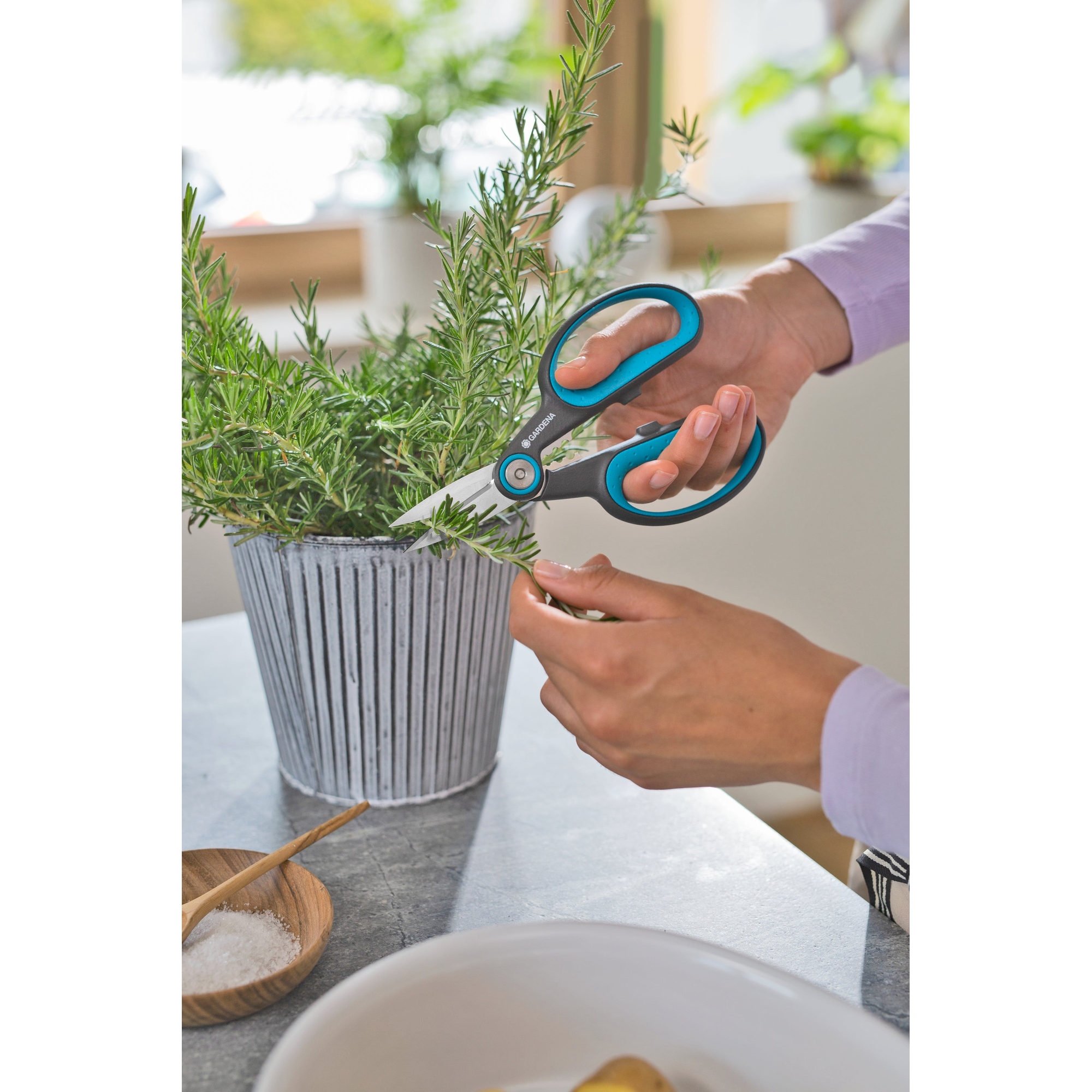 Produktabbildung - Anwendungsabb. ohne Deko Y001160D
